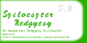 szilveszter medgyesy business card